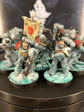 Warhammer 40k Army Space Wolves Pro Painted Intercessors