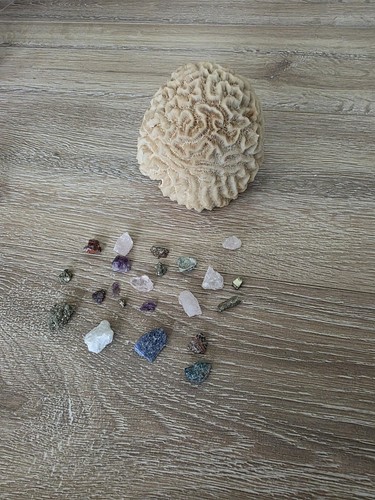Specimen mixed bundle - mixed,