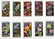 Wild Flowers Cigarette Cards Full Set of 50 issued by WD & HO Wills in 1923
