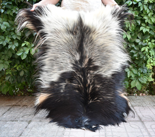 Angora goat leather goatskin - leather,