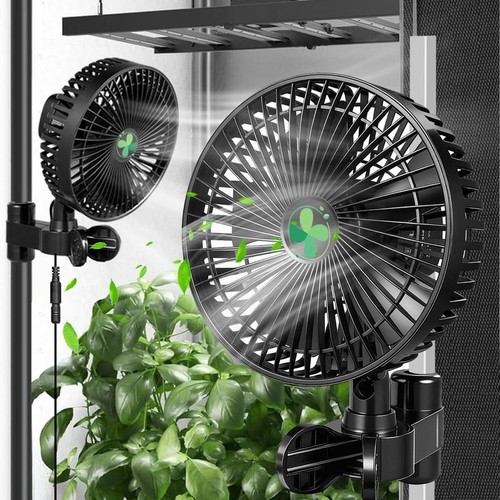 Speed motors grow - motors, 7''