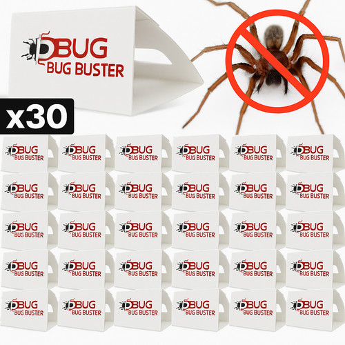Bug buster spider - 30,