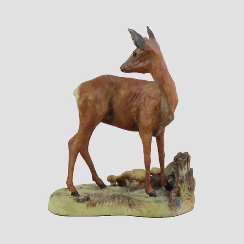 Capreola deer looking back - deer, by