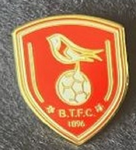 Bracknell town enamel - enamel, badge