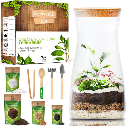 Diy terrarium kit - terrarium, create