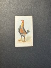 Fighting Cocks Cigarette Card (no 4)  Game Fowl