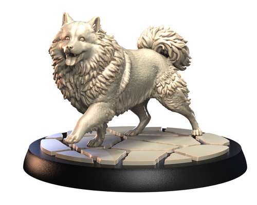 Dogs2 keeshond 2 - dogs2,