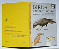 Vintage Ladybird Books all at