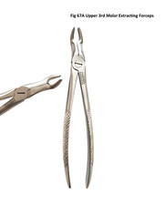 Stainless Steel Dentist Dental