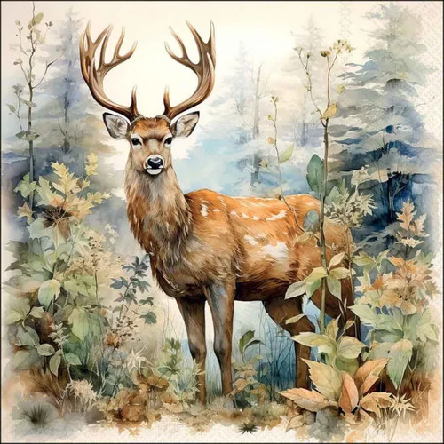 Deer the woods forest - 4x,