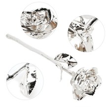 _Long Stem Rose Gifts Dipped