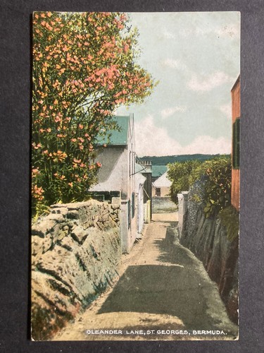 Oleander lane georges - oleander,