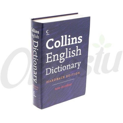 False fake dictionary - dictionary, book