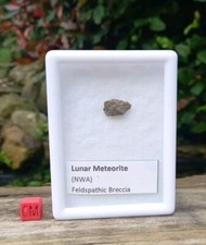 Lunar Meteorite - Authentic