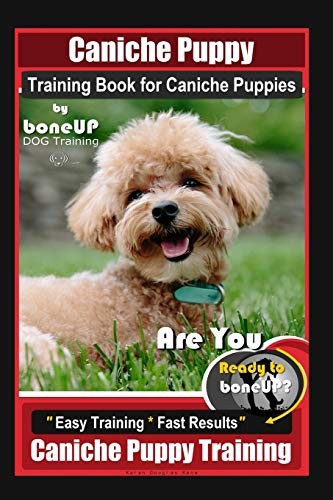 Caniche puppy training - caniche,