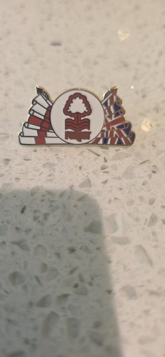Nottingham forest pin - forest, badge