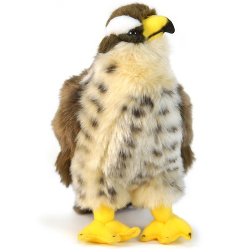 Percival the peregrine - the, falcon