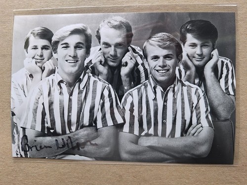 Brian wilson beach - wilson, boys