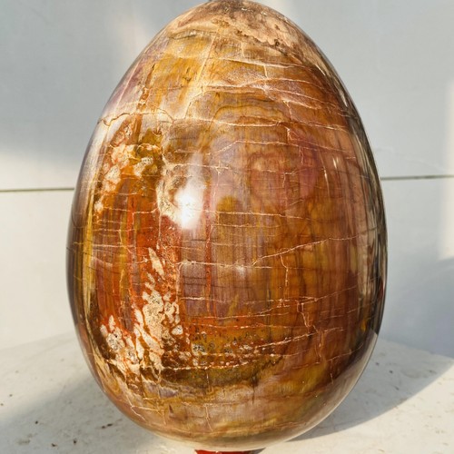 Natural petrified wood - natural,