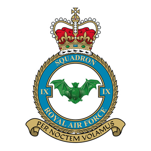 Squadron raf badge patch - no.,