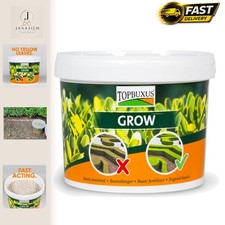 Grow professional boxwood - grow,