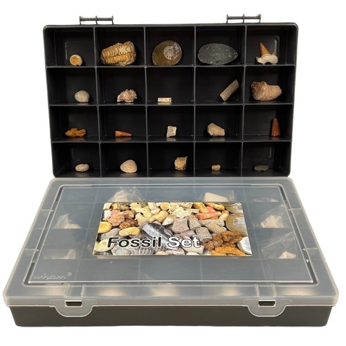 Large fossil gift set - fossil,
