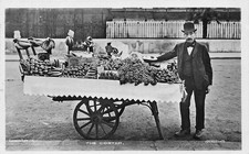 POSTCARD  LONDON  LIFE  THE