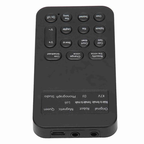 Handheld voice changer device - handheld,