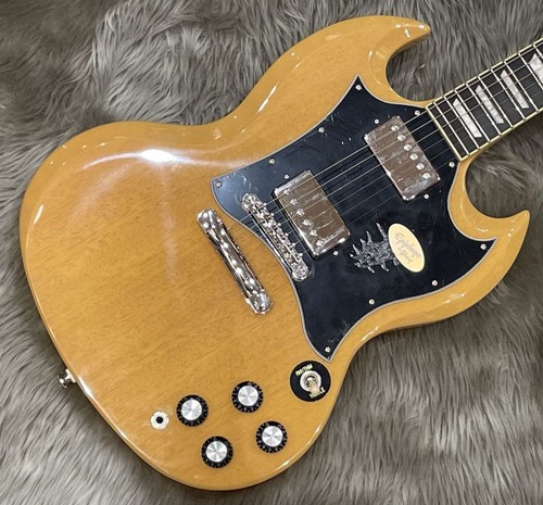 Epiphone std 22f - epiphone,