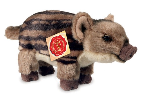 Baby boar wild - /, pig