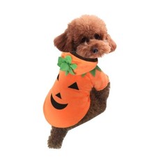 Fancy Dog Halloween Outfits