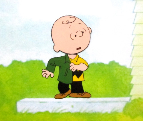 1980 peanuts charlie brown - peanuts,