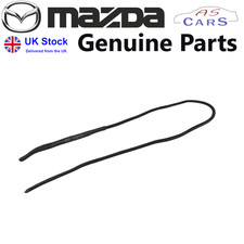 Rear parcel shelf string - shelf,
