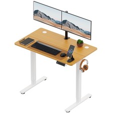100x60cm Electric Standing
