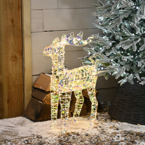 Festive star shimmer lit - festive,