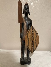 Stunning Masai Warrior