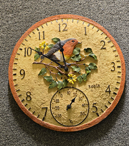 Robin garden wall clock - clock, &