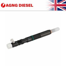Delphi Fuel Injector R03902D