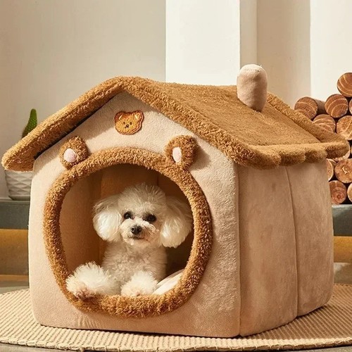 Pet cat kitten - kitten, beds