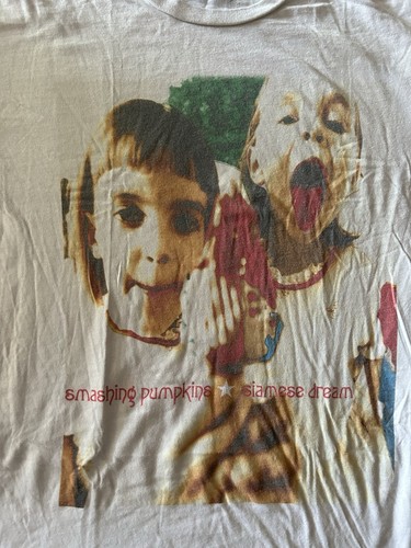 Smashing pumpkins concert - smashing,