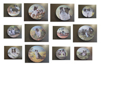 Danbury Mint The Border Collie