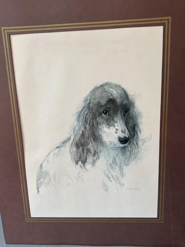 1970s cocker spaniel print - 1970s,