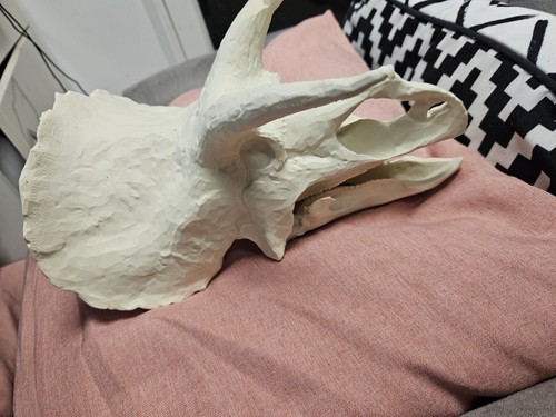 Printed triceratops skull - 3d,
