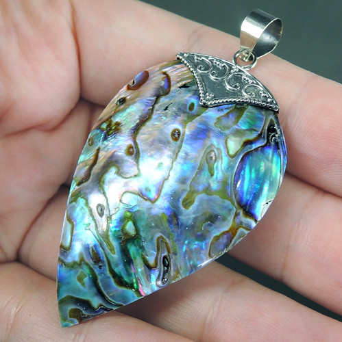 Paua abalone shell pendant - paua,