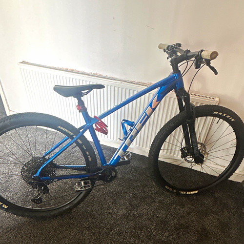 Vitus xcaliber 29in blue - xl,