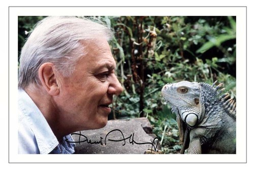 Sir david attenborough signed - sir,
