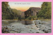 [1242] Bristol Colored