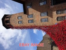 PHOTO  POPPIES: WEEPING WINDOW