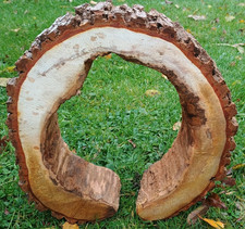 Log with natural hole, unique