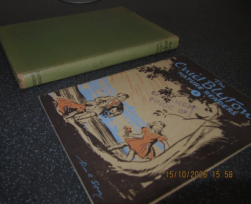 Vintage enid blyton - vintage,